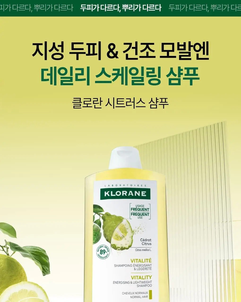 [건조모발 & 지성두피] 클로란 시트러스 스케일링 샴푸 400ml 상세페이지 3